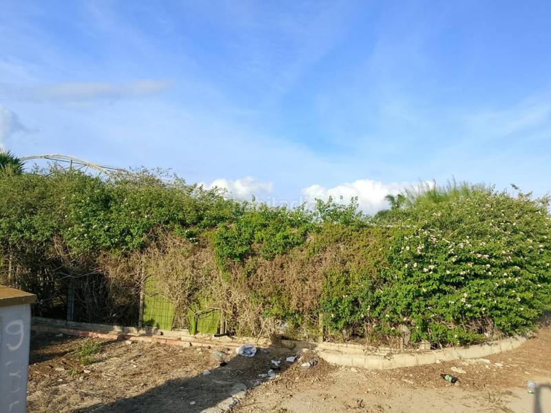 Foto 5b0ae009-7a10-48f6-ac8a-0308d7cfada3. Fondo rustico in Oliva pueblo Oliva