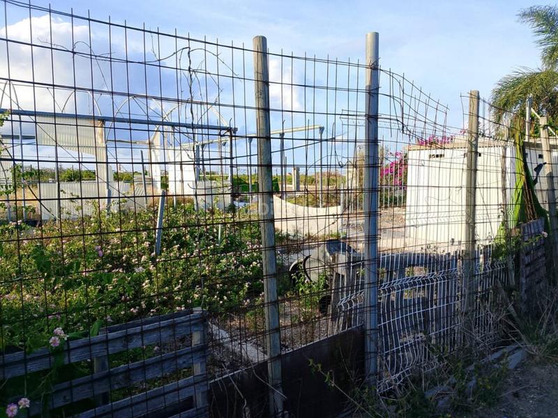 Foto 90b8d026-01a5-4127-acb7-504a0f8f01d5. Fondo rustico in Oliva pueblo Oliva