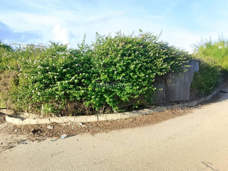 Foto 9343c865-9861-425b-9283-152bfeaf3ae5. Fondo rustico in Oliva pueblo Oliva