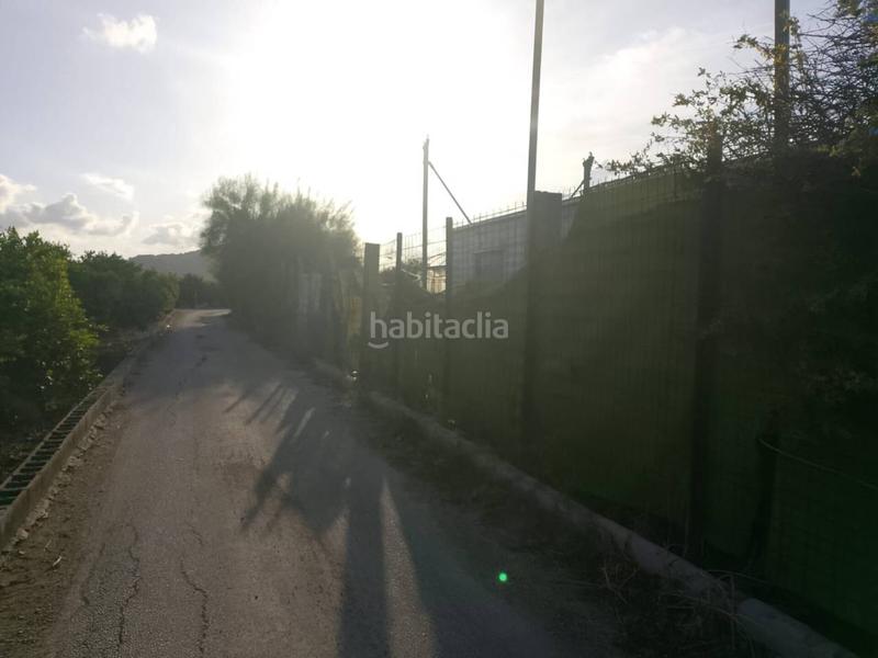 Foto d9f1146b-2f7e-49e9-8296-6ea2e1377e2e. Fondo rustico in Oliva pueblo Oliva