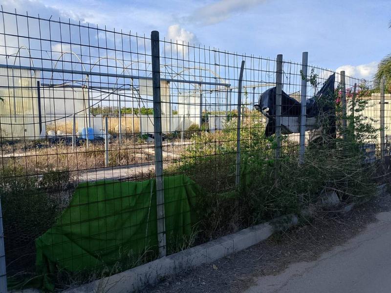 Foto fcd41365-53eb-4437-8a8f-faa1c5784767. Fondo rustico in Oliva pueblo Oliva