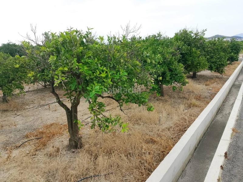 Foto 04b8eb0c-7ca0-4423-a0c2-ea991e91e810. Propriété dans Oliva pueblo Oliva