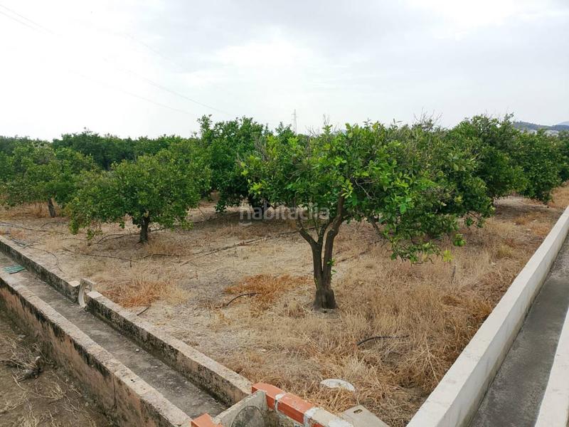 Foto 6c20966d-d77e-4a62-9b10-8db40258078a. Propriété dans Oliva pueblo Oliva