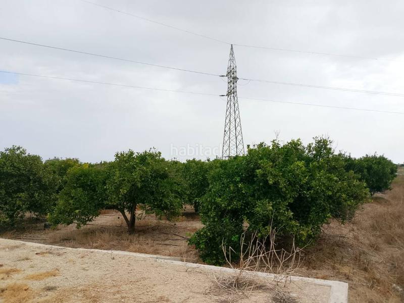 Foto e4e7ea19-2ee6-4f2b-99bd-099c677ea3f5. Propriété dans Oliva pueblo Oliva