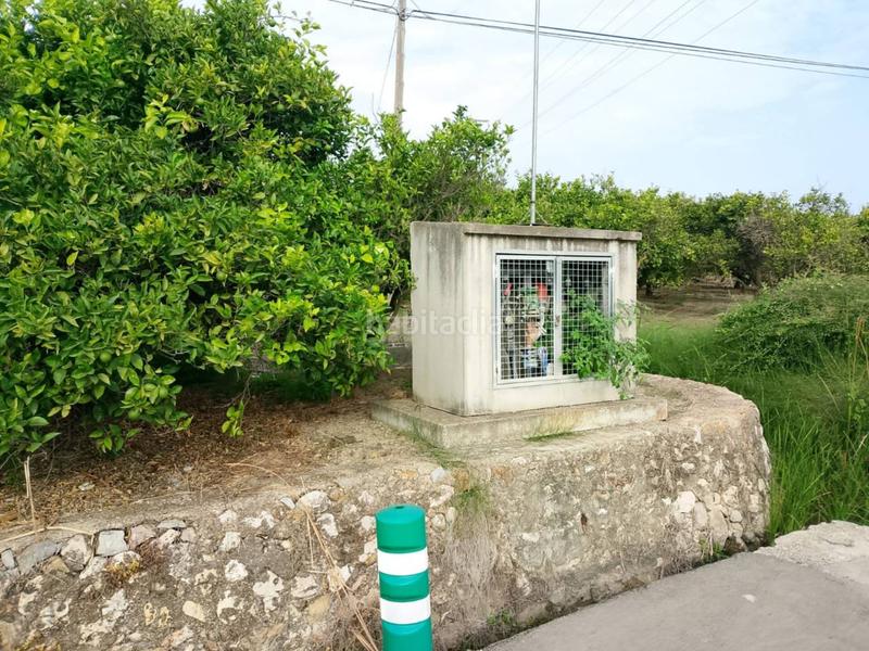 Foto 19db1a8e-b5d5-43e2-910c-0f1f30660215. Fondo rustico in Oliva pueblo Oliva