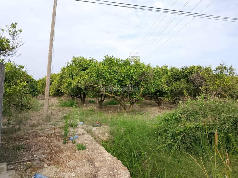 Foto 5314959c-5da9-4418-bf55-d6a153db57c3. Fondo rustico in Oliva pueblo Oliva
