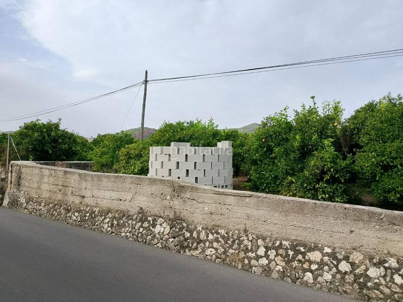 Foto 5490155b-6e42-4212-ab7a-30d0b1a52783. Fondo rustico in Oliva pueblo Oliva