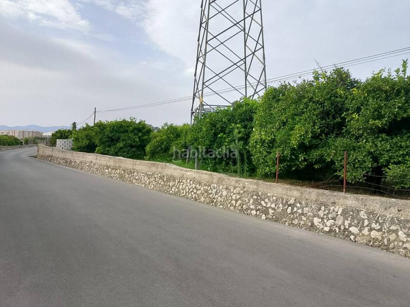 Foto a3e190e9-b990-4f0b-8d3e-cc8d4f121f61. Fondo rustico in Oliva pueblo Oliva