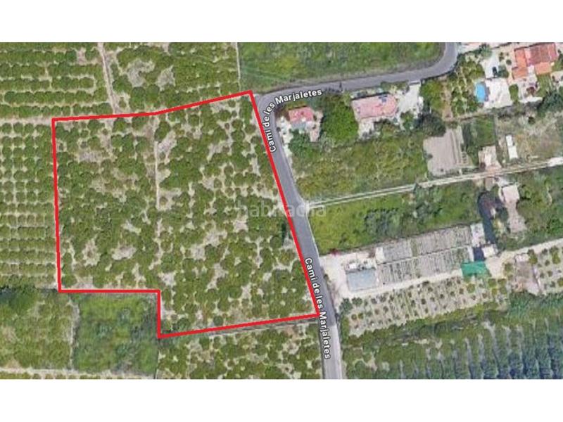 Foto b0735e41-ef7c-4e33-af9b-d03153d69581. Fondo rustico in Oliva pueblo Oliva