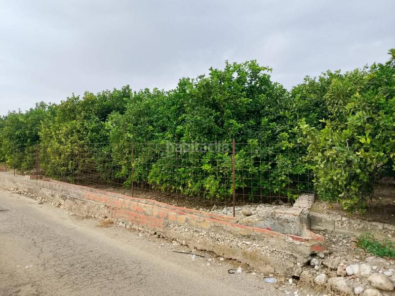 Foto 1145a364-b149-49ae-81e4-8ac56cf327cb. Fondo rustico in Oliva pueblo Oliva