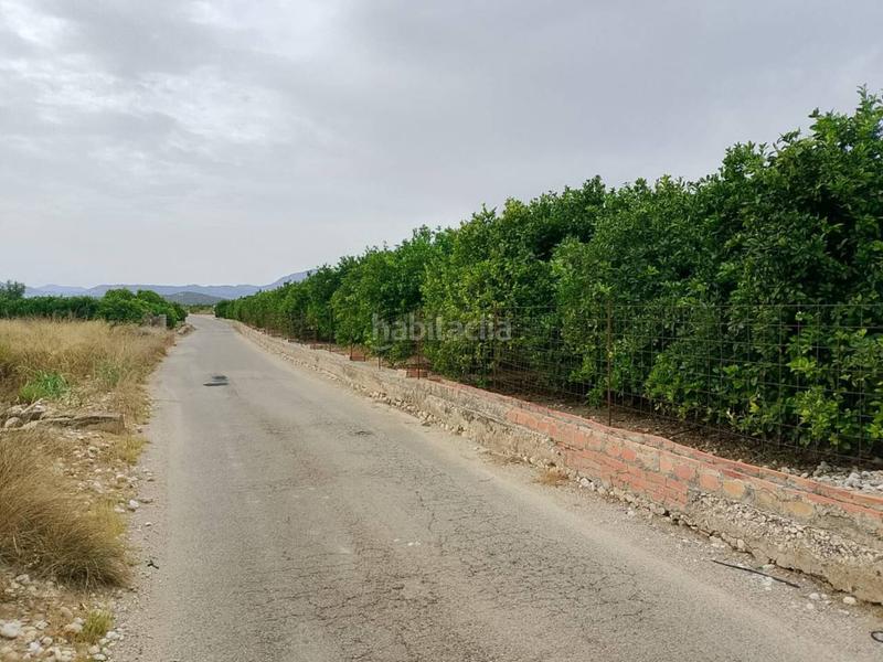 Foto 49f6d52e-bbf5-4cd2-94d4-fc4b5b51aa47. Fondo rustico in Oliva pueblo Oliva