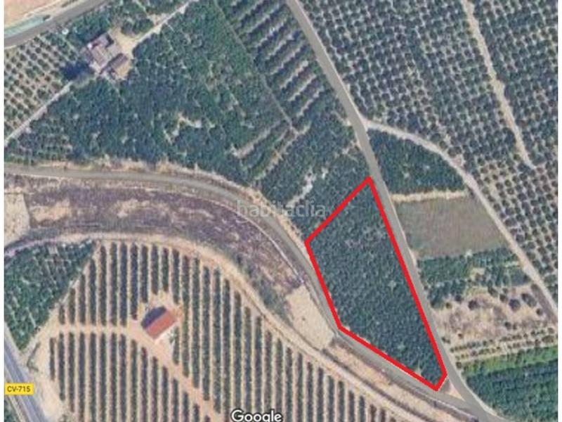 Foto 7dbbb4c2-de47-4d98-8b4e-8159bea96e7a. Fondo rustico in Oliva pueblo Oliva