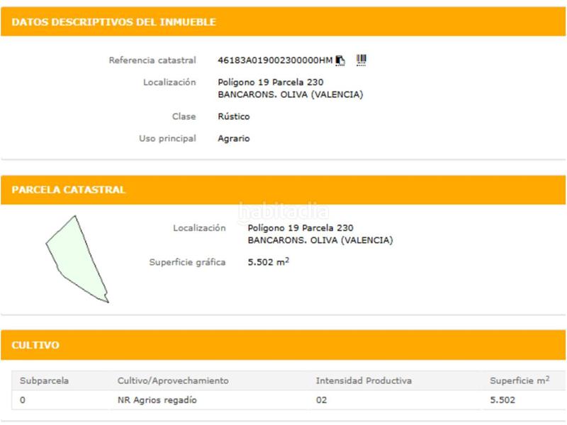 Foto ceafd668-e9e3-480f-a351-119064e4a6ba. Fondo rustico in Oliva pueblo Oliva