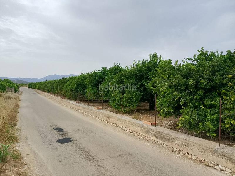 Foto f57cc09d-eb10-4e17-aff8-eb4fa20682df. Fondo rustico in Oliva pueblo Oliva