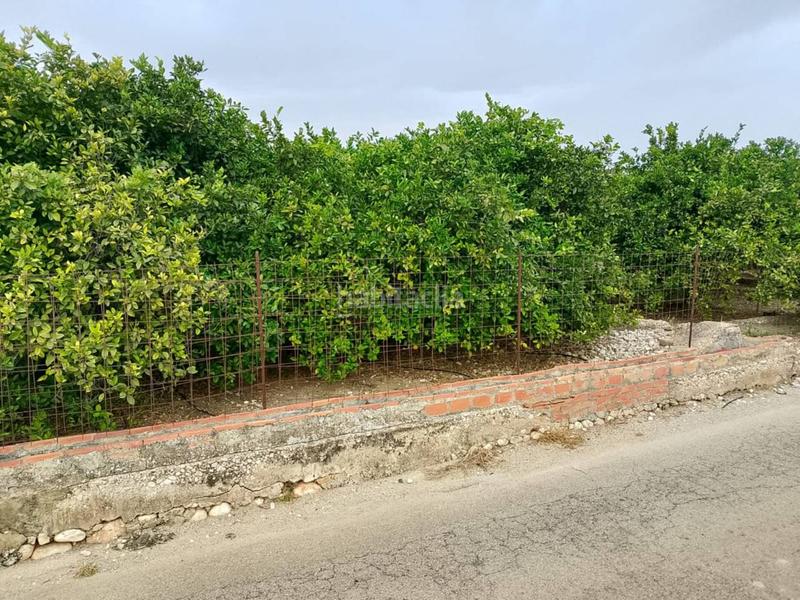 Foto fea21dc7-9018-4801-ba24-0e106070d777. Fondo rustico in Oliva pueblo Oliva