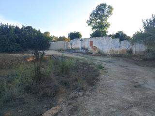 Finca rústica  Puça 1. Nave en ruinas con gran terreno en marxuquera baja  camino la pu