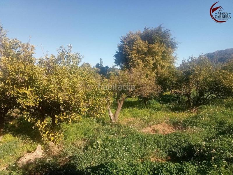 Foto 4770f563-2ea9-48e1-8d97-0a3dc18036f4. Haus in marjaletes 5 in Alfauir