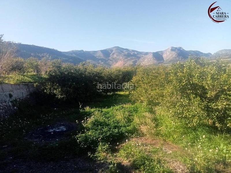 Foto 6927b878-f4ea-4289-9b07-0aa3aab92409. Haus in marjaletes 5 in Alfauir