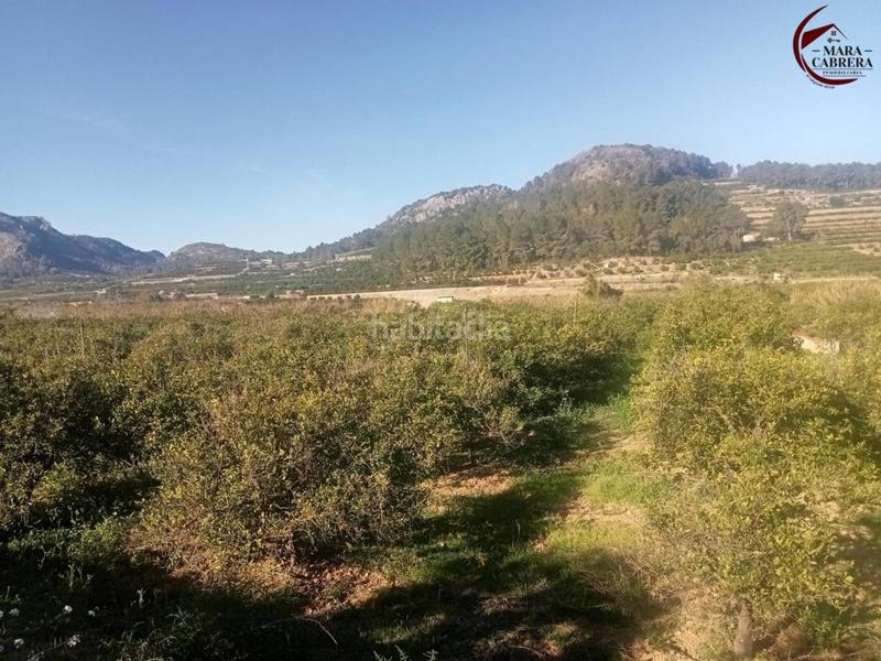 Foto 69fb4d0c-9173-4f48-84b0-48edd5f5b04d. Haus in marjaletes 5 in Alfauir