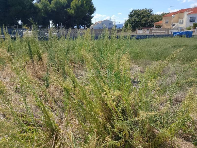 Foto 067ebeee-a17e-49ad-92e7-f4bb2631cb9e. Terrain résidentiel dans Miramar