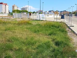 Industrial plot  Riu xúquer. Terreno en venta en miramar playa  oportunidad de inversión
