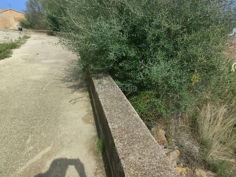 Foto 1ca5c361-ba46-46a3-9837-fafaf7c0424a. Terreny residencial a Ador