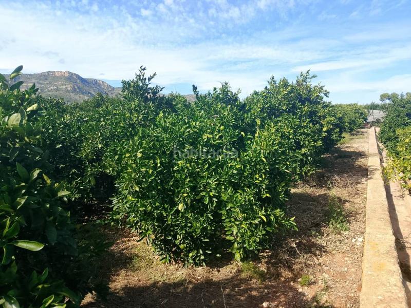 Foto 078a3fb2-a9a5-4994-9f4b-19dc4a93d4cd. Finca rústica a Xeraco