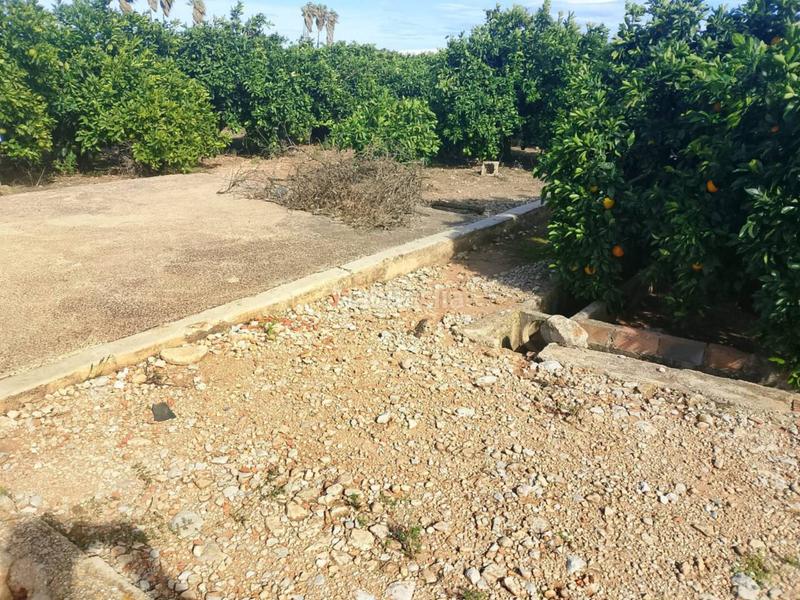 Foto 1d6e3cda-8e88-49ce-9ccd-a90f8e025c35. Finca rústica a Xeraco