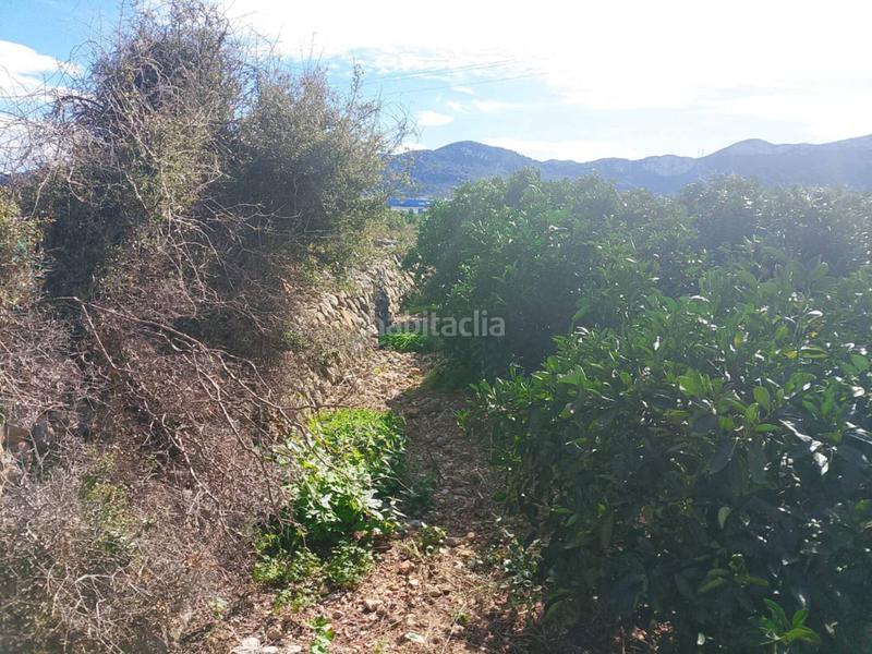 Foto 21fbc0f8-b437-4d95-890a-b5f94aaf250c. Finca rústica a Xeraco