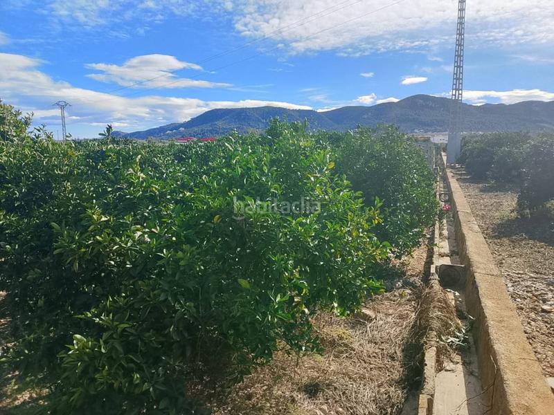 Foto 260dcde0-c31e-4cff-9006-bbd8c0608633. Finca rústica a Xeraco