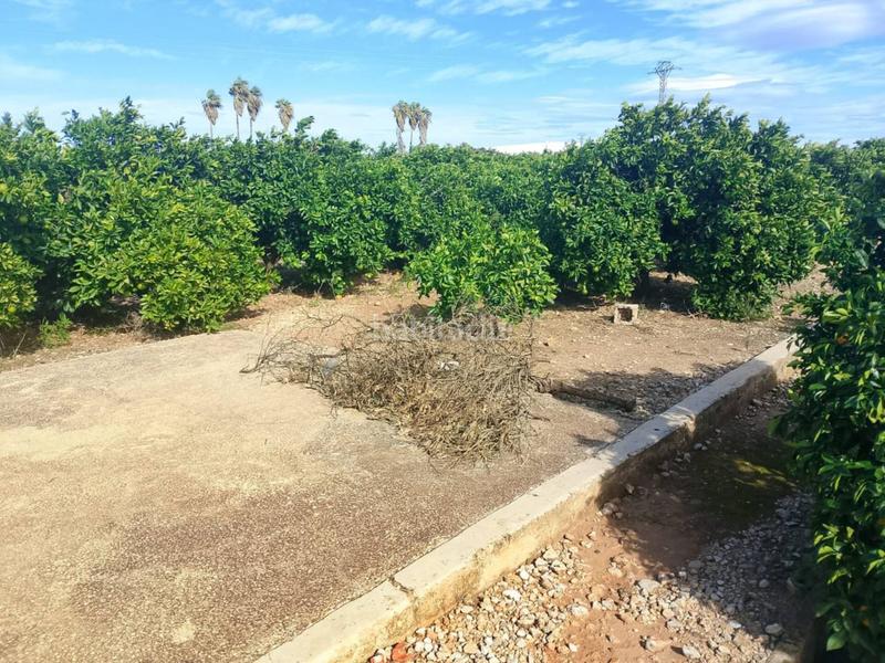 Foto 27f6b6d3-56b4-4e37-aa24-891cab4b49f4. Finca rústica a Xeraco