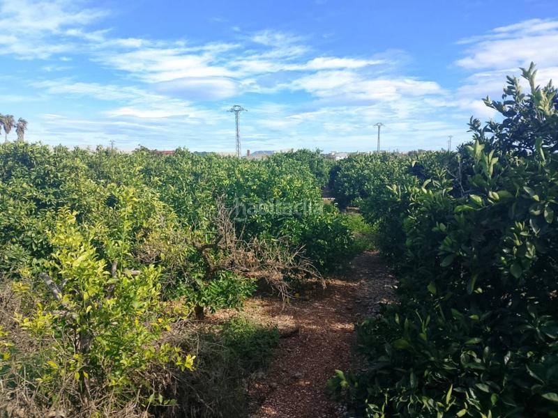 Foto 6787002a-3b96-4778-b39c-f1c4c03ccbe5. Finca rústica a Xeraco