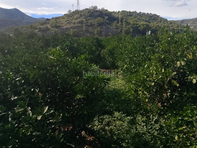 Foto 6e1895ff-4f63-4ad1-a06e-d5c3b94c9a83. Finca rústica a Xeraco