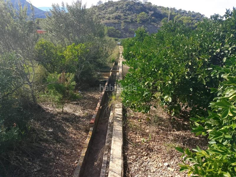 Foto 79e3c007-6e8d-446b-bc99-49ee90948f5f. Finca rústica a Xeraco