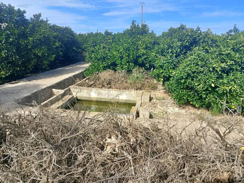 Foto af117635-2b86-4f6f-94cc-f9d9e060b76c. Finca rústica a Xeraco