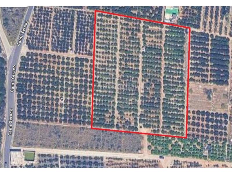 Foto d020bb2d-0a75-478d-a0b1-8c9c3c69354e. Finca rústica a Xeraco