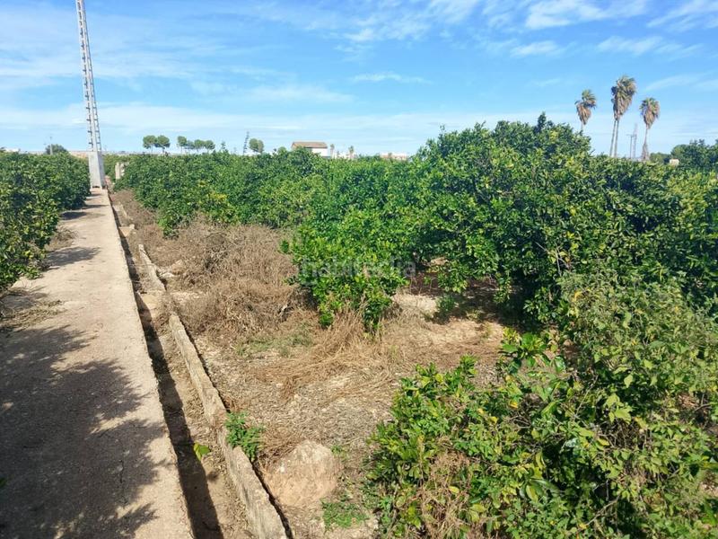 Foto d90b98ed-ef66-4afb-8aa3-d37153b9547a. Finca rústica a Xeraco