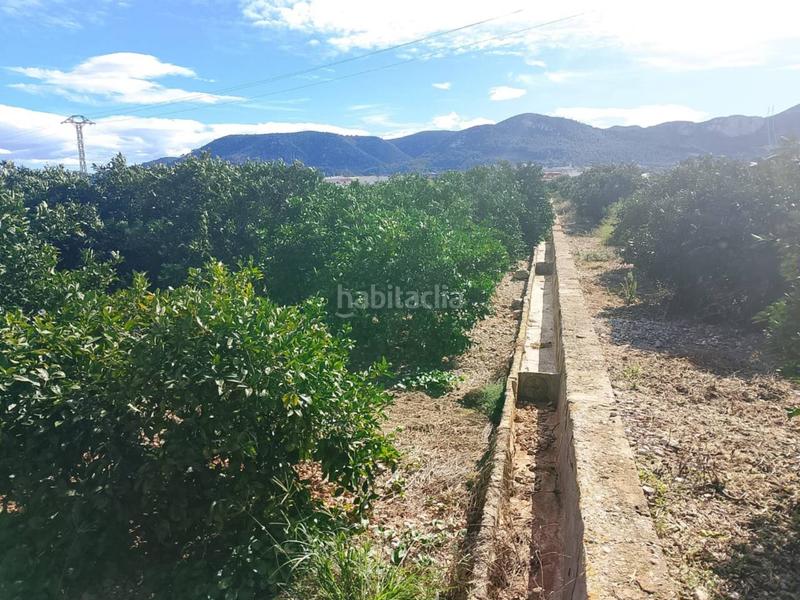 Foto f795b6c8-472a-48eb-a071-95cff75388a3. Finca rústica a Xeraco