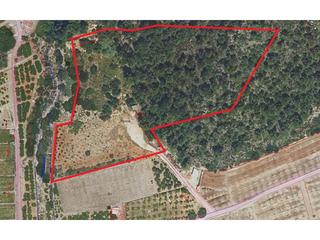 Terreno residencial  Collado 1. Terreno de 17300m en la zona sur de ador con posibilidad de cons