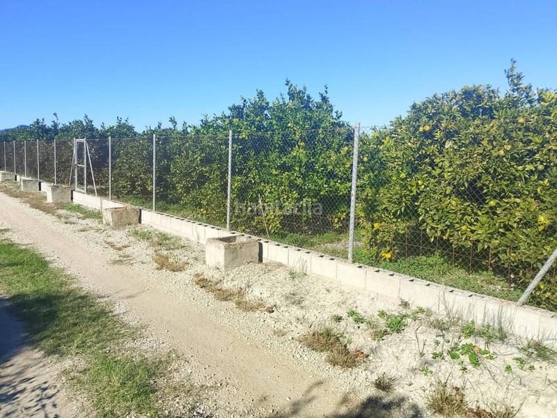 Foto 00f55455-f1f3-41bb-88f4-65aab090925c. Landgut in Oliva pueblo Oliva