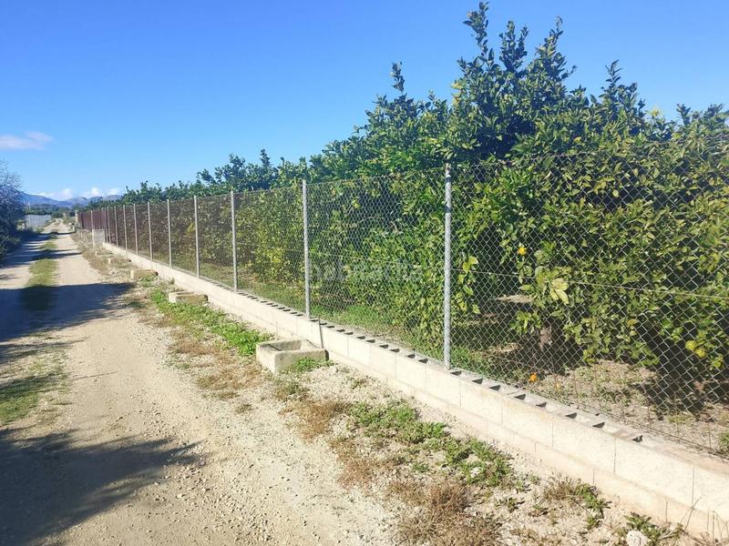 Foto 0598af3b-b07f-4716-b15e-44f94e11fbf5. Landgut in Oliva pueblo Oliva