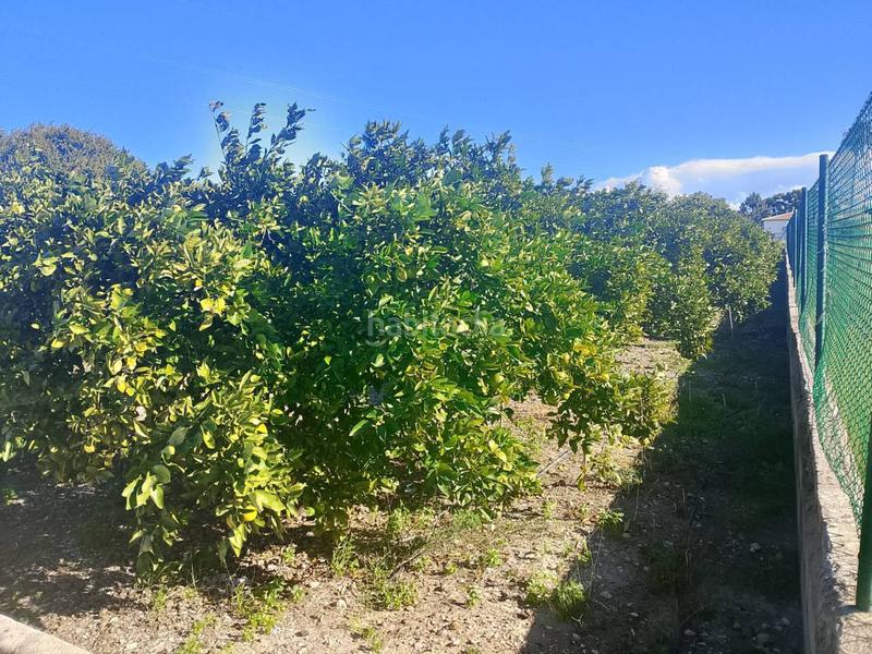 Foto 0f3505b0-6a34-4688-8397-0248cad1fa36. Landgut in Oliva pueblo Oliva