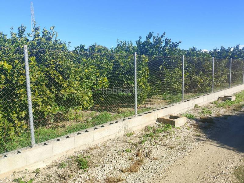 Foto 1b7ee2d6-c331-4caa-b88d-3d191348d1b5. Landgut in Oliva pueblo Oliva