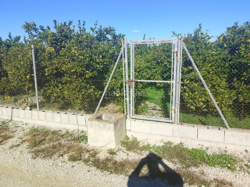 Foto 25337666-b1a1-40c9-871f-8281d8088af7. Landgut in Oliva pueblo Oliva