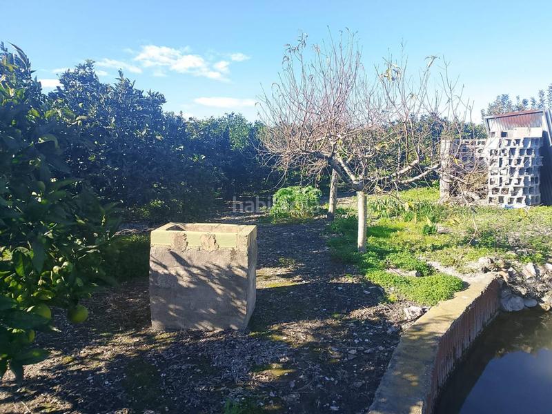 Foto 488c5442-b30b-43ce-a639-429fbcc418a0. Landgut in Oliva pueblo Oliva