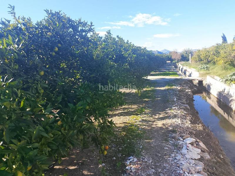 Foto 4eb8a4ce-795f-4a4b-bf6e-86987ad655fd. Landgut in Oliva pueblo Oliva