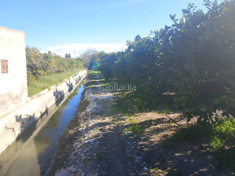 Foto 56c48e15-6884-43c9-b043-de04deac9dcc. Landgut in Oliva pueblo Oliva