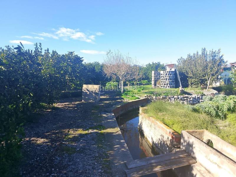 Foto 6828761c-296a-4e49-932e-0fe2a0bebba7. Landgut in Oliva pueblo Oliva