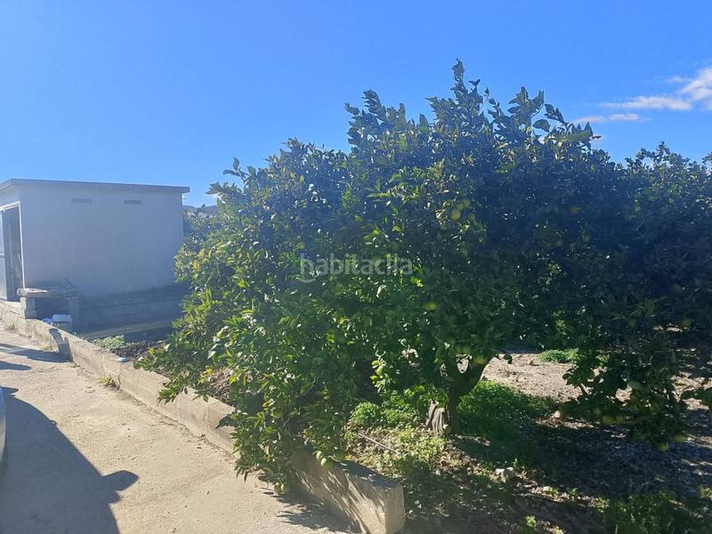 Foto 684653d5-8817-474c-9d0c-bd0077cf3631. Landgut in Oliva pueblo Oliva