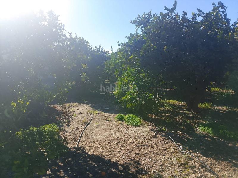 Foto 723e0224-e888-47f3-b80e-310a7873293c. Landgut in Oliva pueblo Oliva